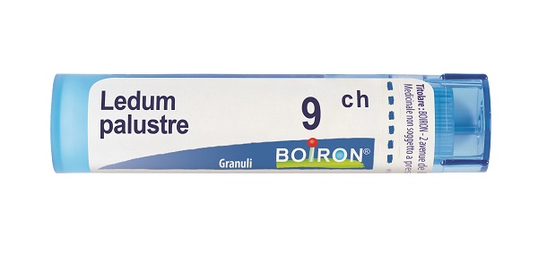 LEDUM PALUSTRE 9 CH GRANULI 4G - Farmacia Murachelli Di Putelli dr. Giovanni