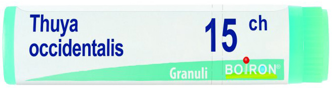 THUYA OCCIDENTALIS 15 CH GLOBULI - Farmacia Murachelli Di Putelli dr. Giovanni