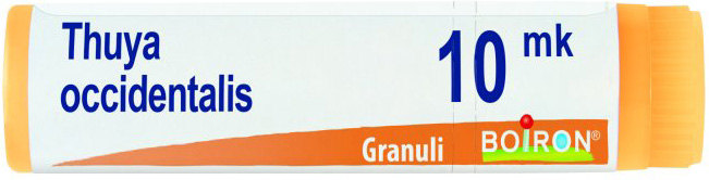 THUYA OCCIDENTALIS XMK GLOBULI 1G - Farmacia Murachelli Di Putelli dr. Giovanni