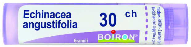 ECHINACEA ANGUSTIFOLIA 30 CH GRANULI - Farmacia Murachelli Di Putelli dr. Giovanni