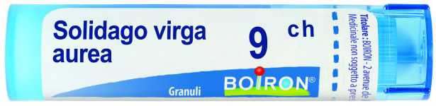 SOLIDAGO VIRGA AUREA 9CH GRANULI 4G - Farmacia Murachelli Di Putelli dr. Giovanni