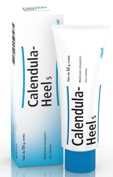 HEEL CALENDULA SALBE POMATA M 50 G - Farmacia Murachelli Di Putelli dr. Giovanni