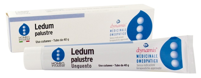 LEDUM PALUSTRE HOMEOPHARM UNGUENTO 40 G - Farmacia Murachelli Di Putelli dr. Giovanni