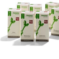 AVENA MACERATO GLICERICO 100 ML - Farmacia Murachelli Di Putelli dr. Giovanni
