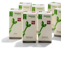 RIBES NERO MACERATO GLICERICO 100 ML - Farmacia Murachelli Di Putelli dr. Giovanni
