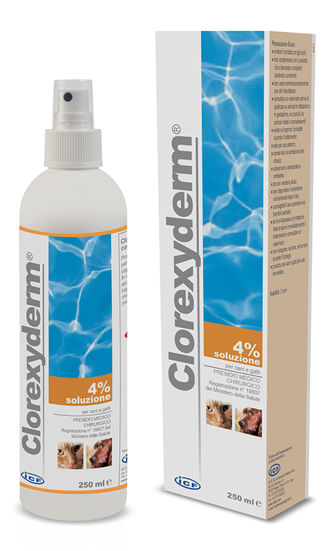 CLOREXYDERM SOLUZIONE 4% 250 ML - Farmacia Murachelli Di Putelli dr. Giovanni