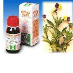 VIOLA DEL PENSIERO 32 50ML TM - Farmacia Murachelli Di Putelli dr. Giovanni