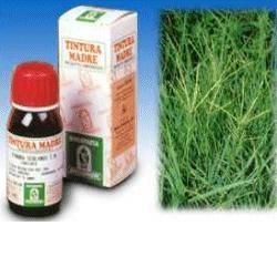 GRAMIGNA 37 50ML TM - Farmacia Murachelli Di Putelli dr. Giovanni