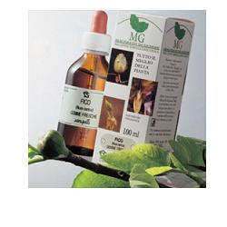 RIBES MACERATO GLICERICO 100 ML - Farmacia Murachelli Di Putelli dr. Giovanni