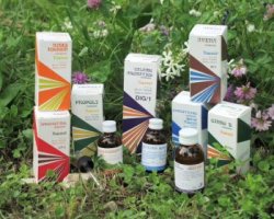 RAEMIL CARCIOFO COMPOSTO 25 ML - Farmacia Murachelli Di Putelli dr. Giovanni