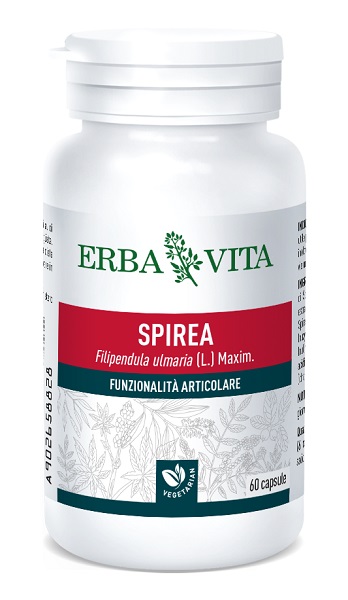 SPIREA ULMARIA 60 CAPSULE 400 MG - Farmacia Murachelli Di Putelli dr. Giovanni