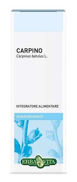 GEMMODERIVATO CARPINO 50 ML - Farmacia Murachelli Di Putelli dr. Giovanni