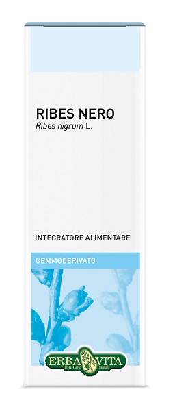 GEMMODERIVATO RIBES NERO 50 ML - Farmacia Murachelli Di Putelli dr. Giovanni
