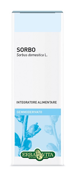 GEMMODERIVATO SORBO 50 ML - Farmacia Murachelli Di Putelli dr. Giovanni