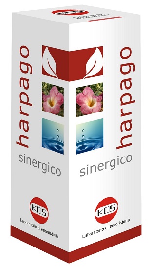 HARPAGO SINERGICO GOCCE 100 ML - Farmacia Murachelli Di Putelli dr. Giovanni