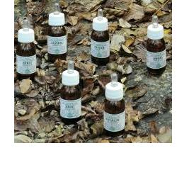 ZECALM OLIO MASSAGGIO 50 ML - Farmacia Murachelli Di Putelli dr. Giovanni