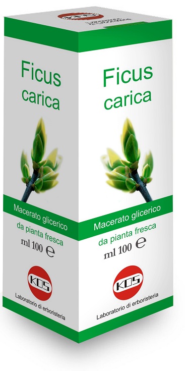 FICUS CARICA MACERATO GLICERICO 100 ML - Farmacia Murachelli Di Putelli dr. Giovanni