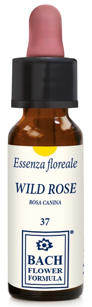 WILD ROSE ORIGINAL GOCCE 10 ML - Farmacia Murachelli Di Putelli dr. Giovanni