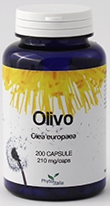 OLIVO 60 CAPSULE - Farmacia Murachelli Di Putelli dr. Giovanni