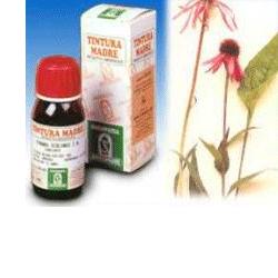 ECHINACEA 59 50ML TM - Farmacia Murachelli Di Putelli dr. Giovanni