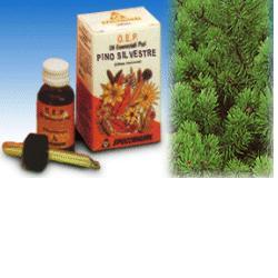 PINO SILVESTRE OLIO ESSENZIALE PURO 10 ML - Farmacia Murachelli Di Putelli dr. Giovanni