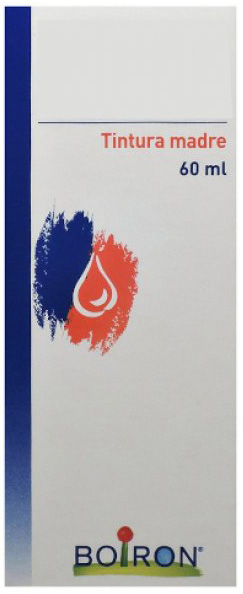 TILIA TOMENTOSA TINTURA MADRE 60 ML - Farmacia Murachelli Di Putelli dr. Giovanni