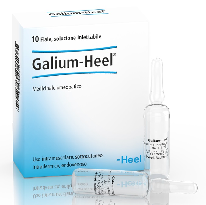 HEEL GALIUM 10 FIALE DA 1,1 ML L'UNA - Farmacia Murachelli Di Putelli dr. Giovanni
