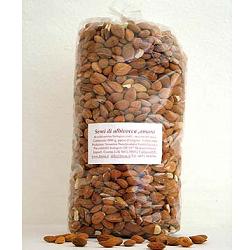 SEMI DI ALBICOCCA 1 KG - Farmacia Murachelli Di Putelli dr. Giovanni