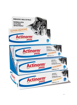 ACTINORM PASTA GATTI 65 G - Farmacia Murachelli Di Putelli dr. Giovanni