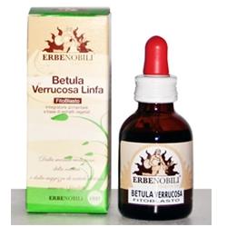 FITOBLASTO BETULLA VERRUCOSA LINFA 50 ML - Farmacia Murachelli Di Putelli dr. Giovanni