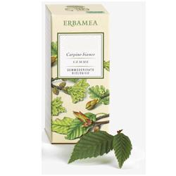BETULA VERRUCOSA LINFA GEMMODERIVATO BIO 50 ML - Farmacia Murachelli Di Putelli dr. Giovanni