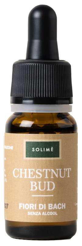 CHESTNUT BUD 10 ML - Farmacia Murachelli Di Putelli dr. Giovanni