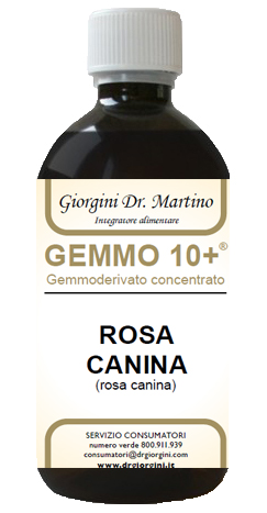 GEMMO 10+ ROSA CANINA LIQUIDO ANALCOLICO 500 ML - Farmacia Murachelli Di Putelli dr. Giovanni