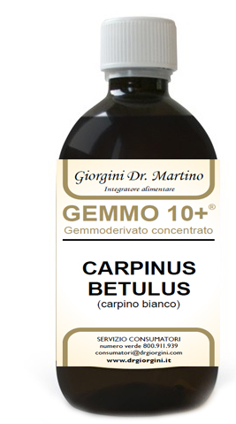 GEMMO 10+ CARPINO BIANCO 500 ML LIQUIDO ANALCOLICO - Farmacia Murachelli Di Putelli dr. Giovanni