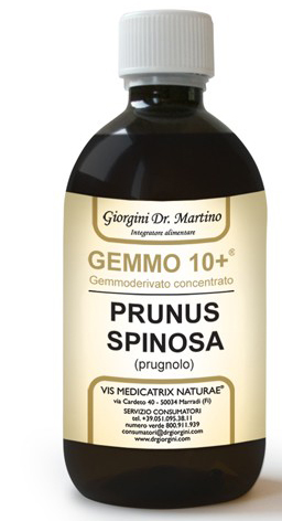 GEMMO 10+ PRUGNOLO 500 ML LIQUIDO ANALCOLICO - Farmacia Murachelli Di Putelli dr. Giovanni