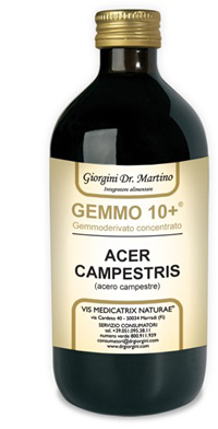GEMMO 10+ ACERO CAMPESTRE 500 ML LIQUIDO ANALCOLICO - Farmacia Murachelli Di Putelli dr. Giovanni