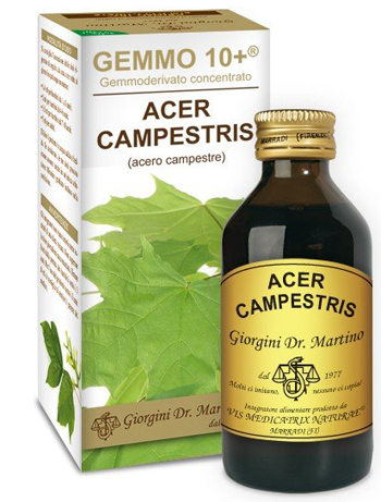 GEMMO 10+ ACERO CAMPESTRE 100 ML LIQUIDO ANALCOLICO - Farmacia Murachelli Di Putelli dr. Giovanni