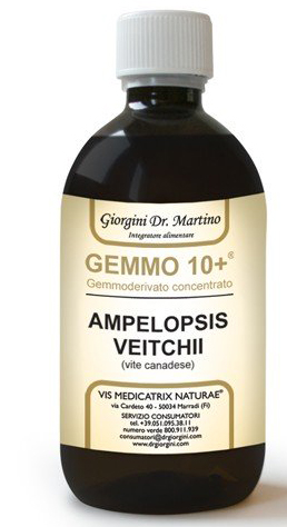 GEMMO 10+ GEMMODERIVATO CONCENTRATO LIQUIDO ANALCOLICO AMPELOPSIS VEITCHI VITE CANADESE 500 ML - Farmacia Murachelli Di Putelli dr. Giovanni