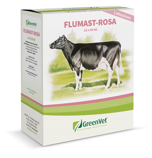 GREENVET FLUMAST ROSA DERM 12 SIRINGHE DA 10 ML - Farmacia Murachelli Di Putelli dr. Giovanni