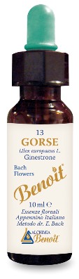 FIORI DI BACH BENOIT GORSE 10 ML - Farmacia Murachelli Di Putelli dr. Giovanni