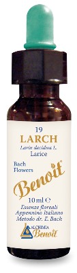 FIORI DI BACH BENOIT LARCH 10 ML - Farmacia Murachelli Di Putelli dr. Giovanni