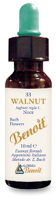 FIORI DI BACH BENOIT WALNUT 10 ML - Farmacia Murachelli Di Putelli dr. Giovanni