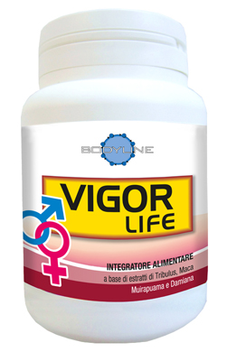 VIGOR LIFE 40 CAPSULE - Farmacia Murachelli Di Putelli dr. Giovanni