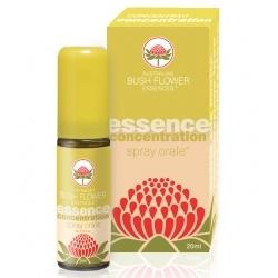 CONCENTRATION SPRAY ORALE 20 ML - Farmacia Murachelli Di Putelli dr. Giovanni