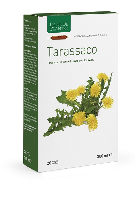 TARASSACO BIOLOGICO 20 AMPOLLE BEVIBILI DA 15 ML - Farmacia Murachelli Di Putelli dr. Giovanni