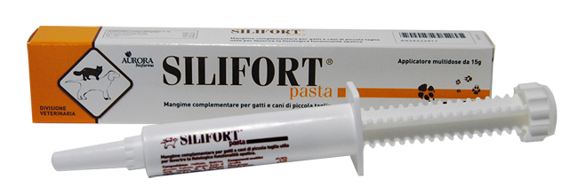 SILIFORT PASTA OS SIRINGA 15 G - Farmacia Murachelli Di Putelli dr. Giovanni