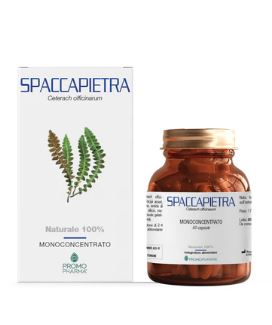 SPACCAPIETRA 50 CAPSULE - Farmacia Murachelli Di Putelli dr. Giovanni