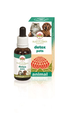 DETOX PETS 30 ML - Farmacia Murachelli Di Putelli dr. Giovanni