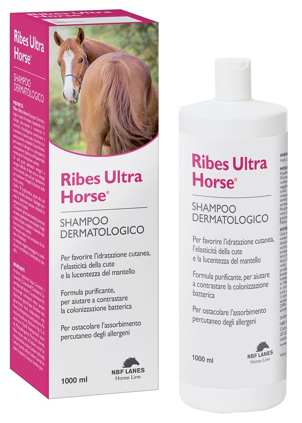 RIBES HORSE ULTRA SHAMPOO DERMATOLOGICO 1 LITRO - Farmacia Murachelli Di Putelli dr. Giovanni