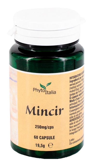 MINCEUR AYURVED 60 CAPSULE - Farmacia Murachelli Di Putelli dr. Giovanni